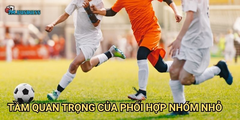 Phối hợp nhóm nhỏ 7m - Chìa khóa mở ra thành công 3 Tầm quan trọng của phối hợp nhóm nhỏ